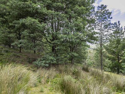 Lot 2, Fyfes Road, Mountain River