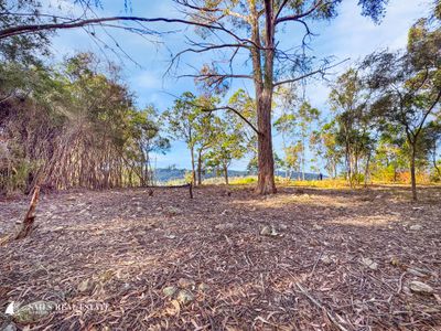 9 Beattie Lane, Lochiel