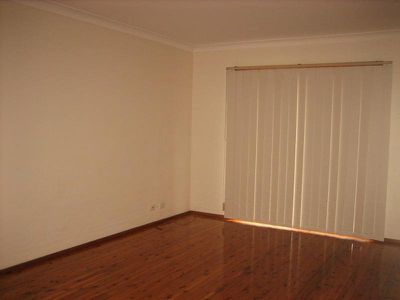 Mount Warrigal