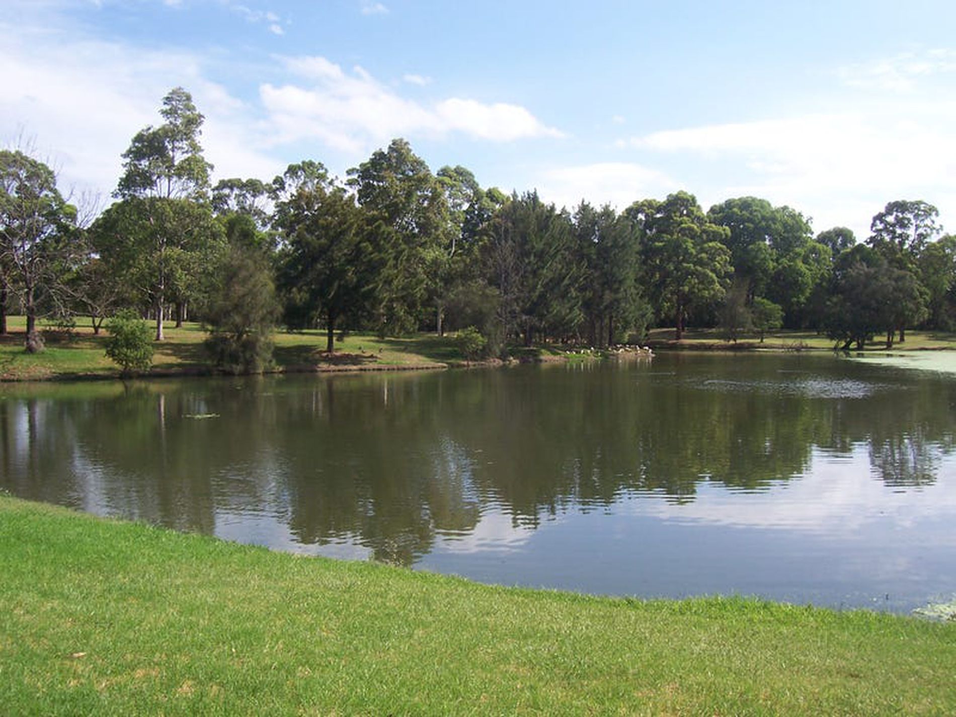 233 Henry Lawson Drive, Georges Hall