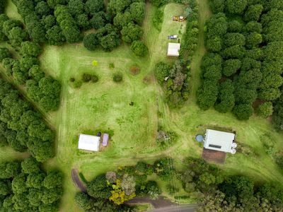 1005 TUNTABLE CREEK ROAD, Nimbin
