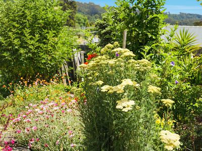 2 / 15 Station Road, Dover