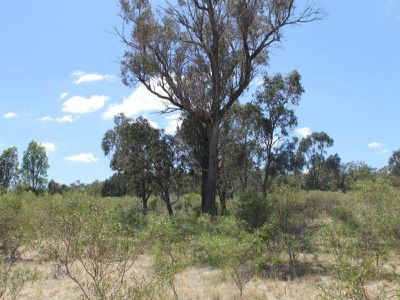 Lot 4 Lot 4 Northern Highway, Heathcote
