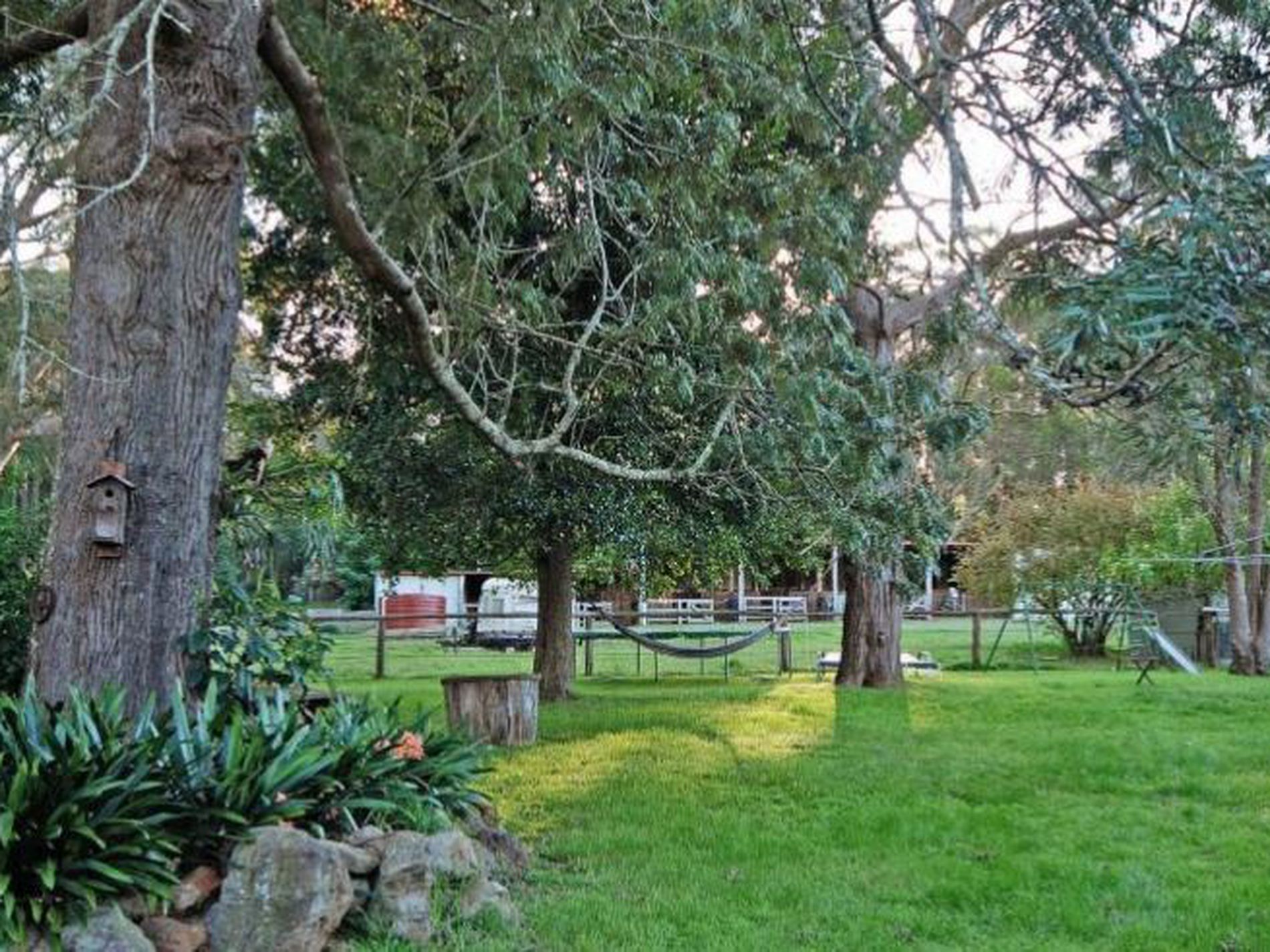 D3380 Princes Highway, Jerrawangala