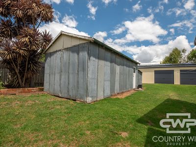 25 Walter Street, Glen Innes