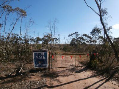 Lot 5, Old St Arnaud Road, Berrimal