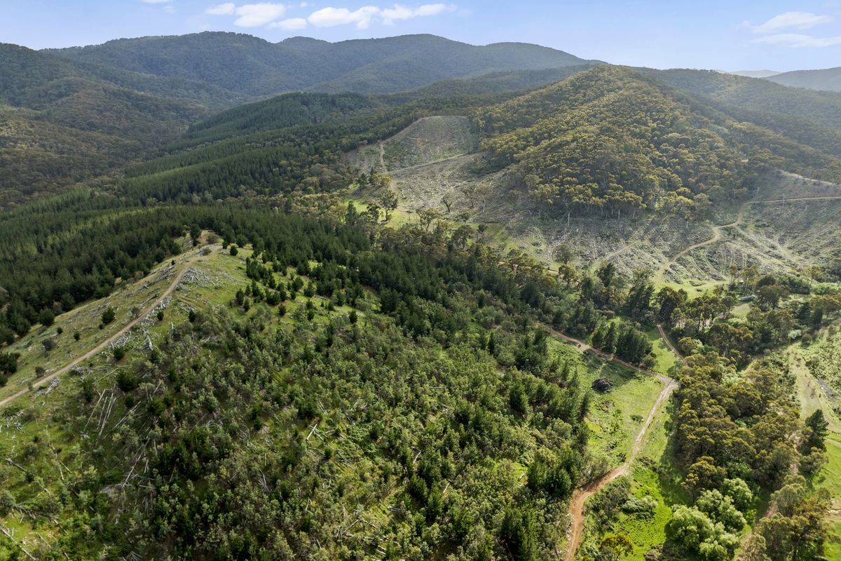 259 Hells Hole Creek Road, Bonnie Doon