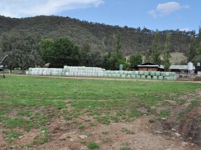 4251 Omeo Highway, Eskdale