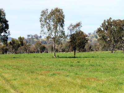 228 / Perryman Lane, Table Top