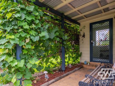 104 Lang Street, Glen Innes