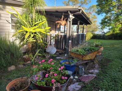 474 Whelan Road, Bollier