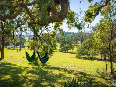 352 Bodalla Park Drive, Bodalla