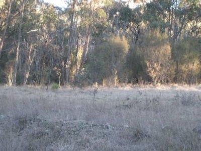 Glen Innes