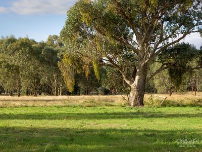 175 ANZAC ROAD, Springhurst