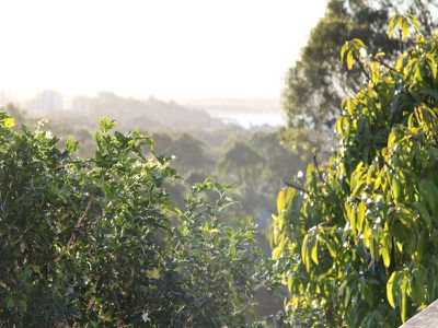 21 Becker Road, Forster