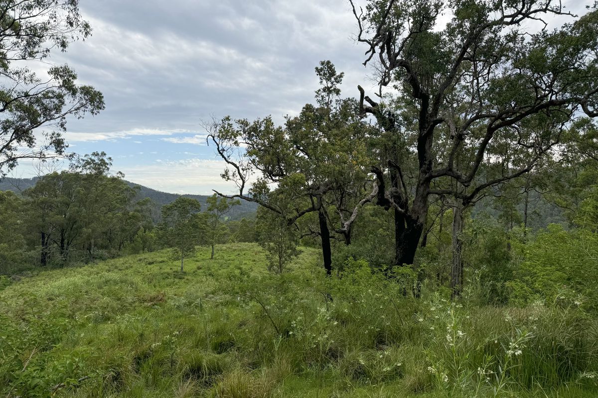 3461 Nowendoc Road, Caffreys Flat