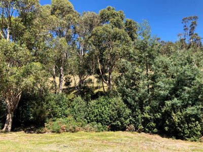 Lot 1, Turn Creek Road, Grove