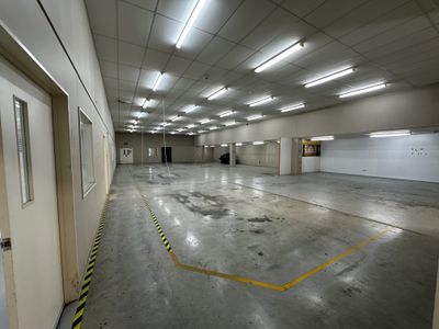 60 Fox Street, South Dunedin