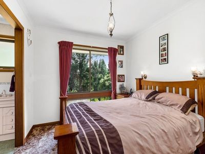 40 Mountain River Road, Mountain River