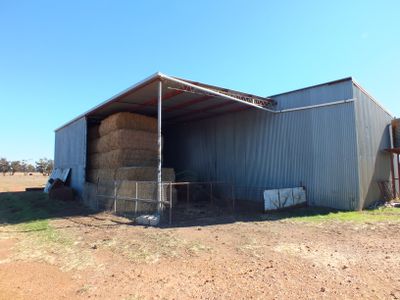 'Dundee' 603 Charcoal Tank Road, West Wyalong