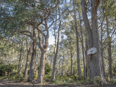 654 Abels Bay Road, Eggs And Bacon Bay