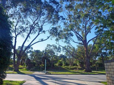 74 Davy Street, Booragoon