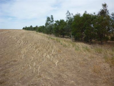 Lot 2 Brikkle Road, Brim