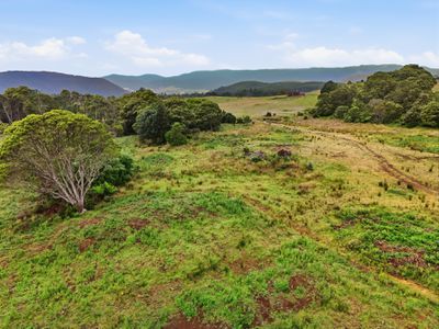 28834 Tasman Highway, Weldborough