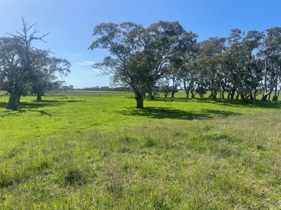 59 Gillap Summer Track, Furner