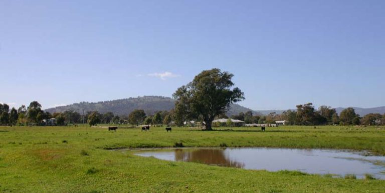 Euroa