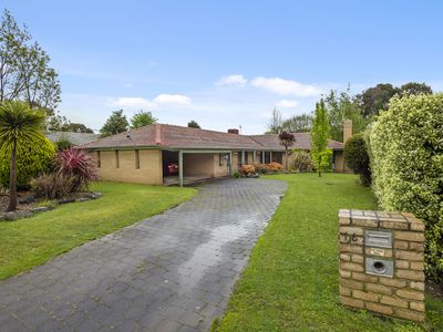 16 Gardiner Street, Gisborne