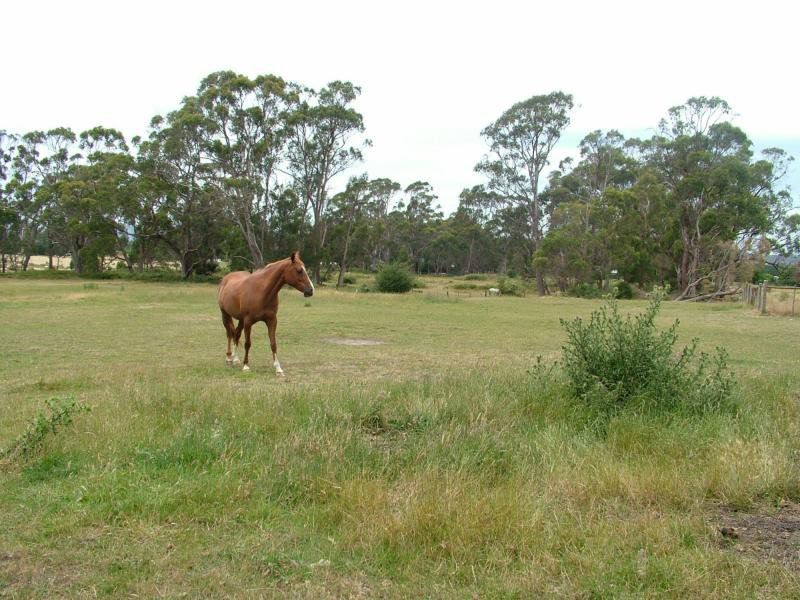 Lot 1 Greens Beach Road, Beaconsfield