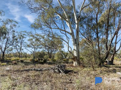 1 Keoghs Lane, Murphys Creek