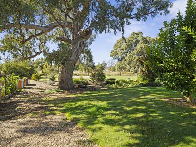 11 Saddle Court, Mansfield