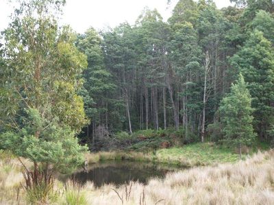 591 Toby's Hill Road, Cygnet