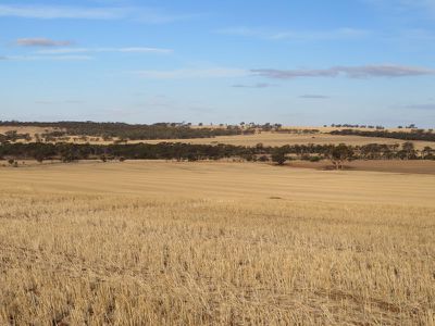 10352 / Cunderdin-Quairading Road, Cunderdin