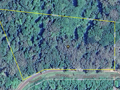 29 Weary Bay Road, Bloomfield