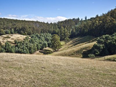 423 Slab Road, Cygnet