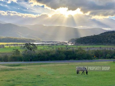 3165 Mansfield Woods Point Road, Jamieson
