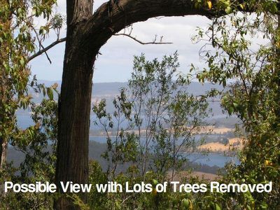 Lot 1 Toby's Hill Road, Cygnet