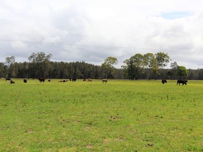 374 Elliots Road, Nabiac