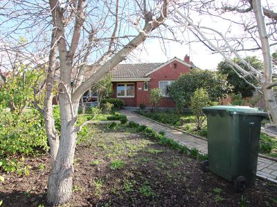 43 Craddock Street, North Geelong