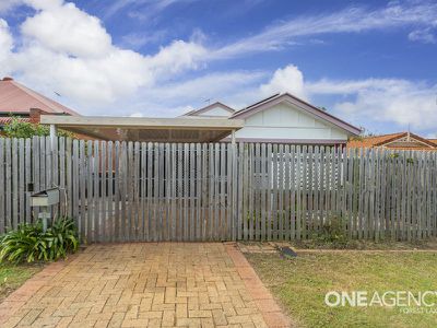 12 Pinaster St, Forest Lake