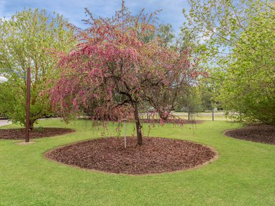 15 Thompsons Lane, Heathcote