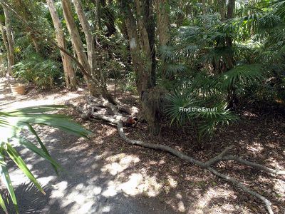 47 Carmona Drive, Forster
