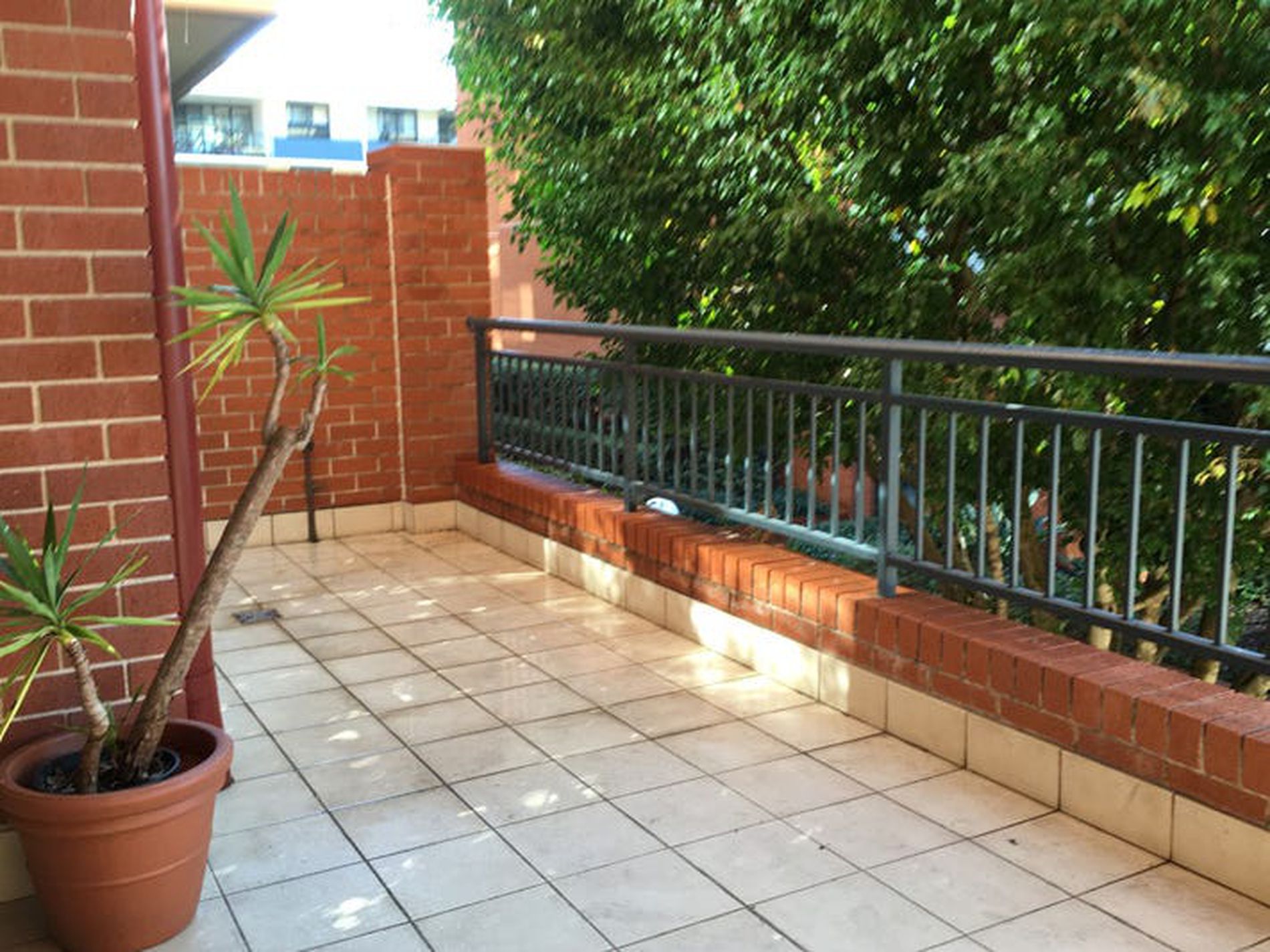 12206 / 177 Mitchell Road, Erskineville