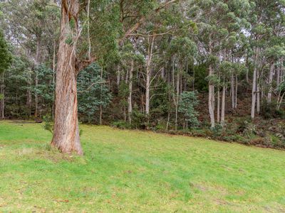 73 Esperance Coast Road, Surges Bay