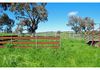 Lot 1 & 4, Mouse Hole Lane, Boree