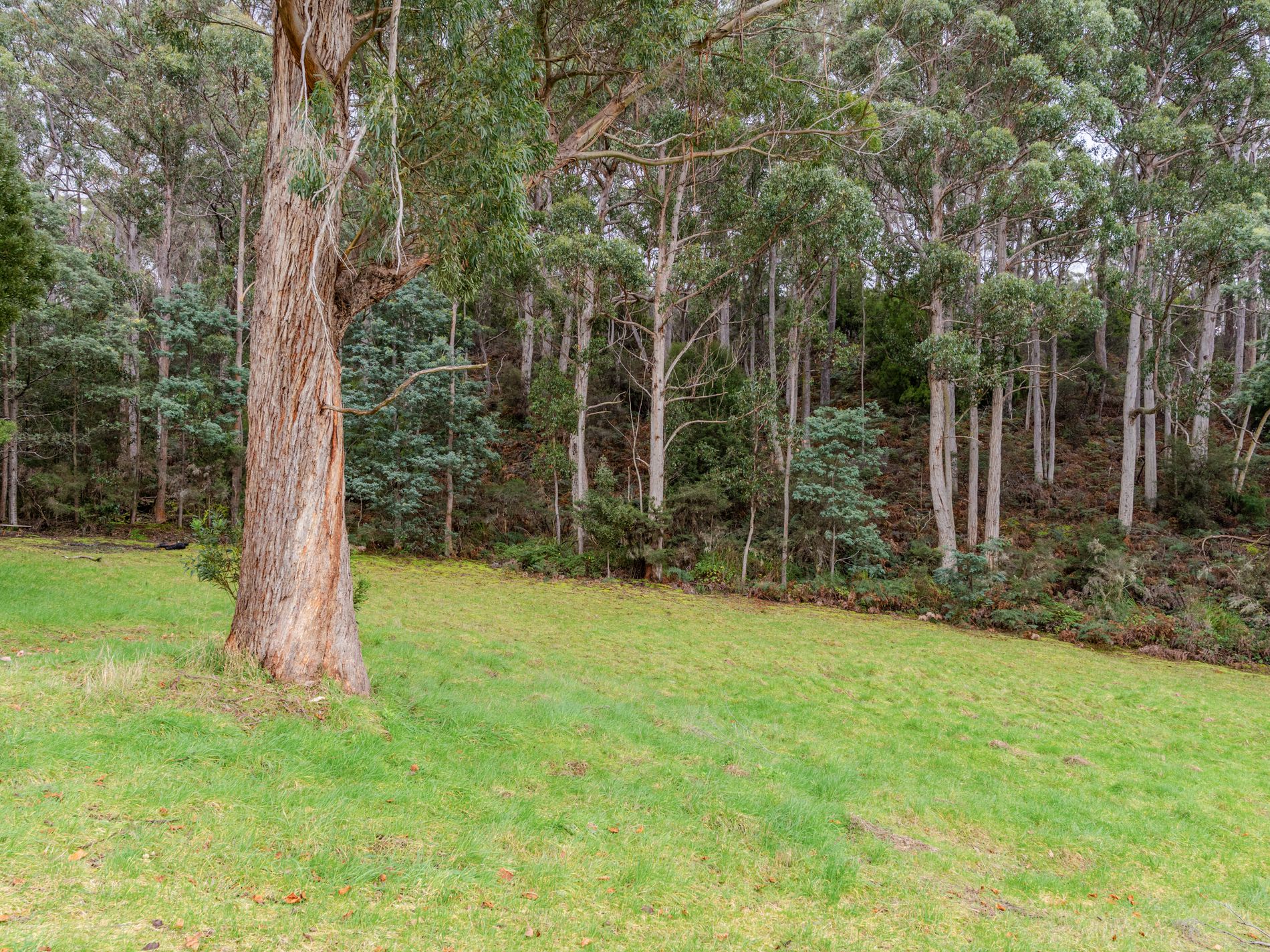 73 Esperance Coast Road, Surges Bay