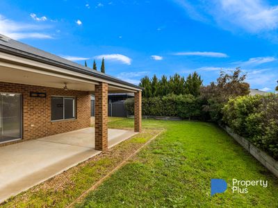 81 Greenfield Drive, Epsom